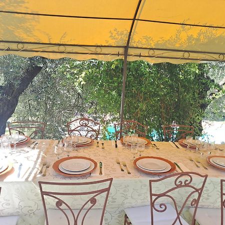 Agriturismo Marinella Амелиа Екстериор снимка