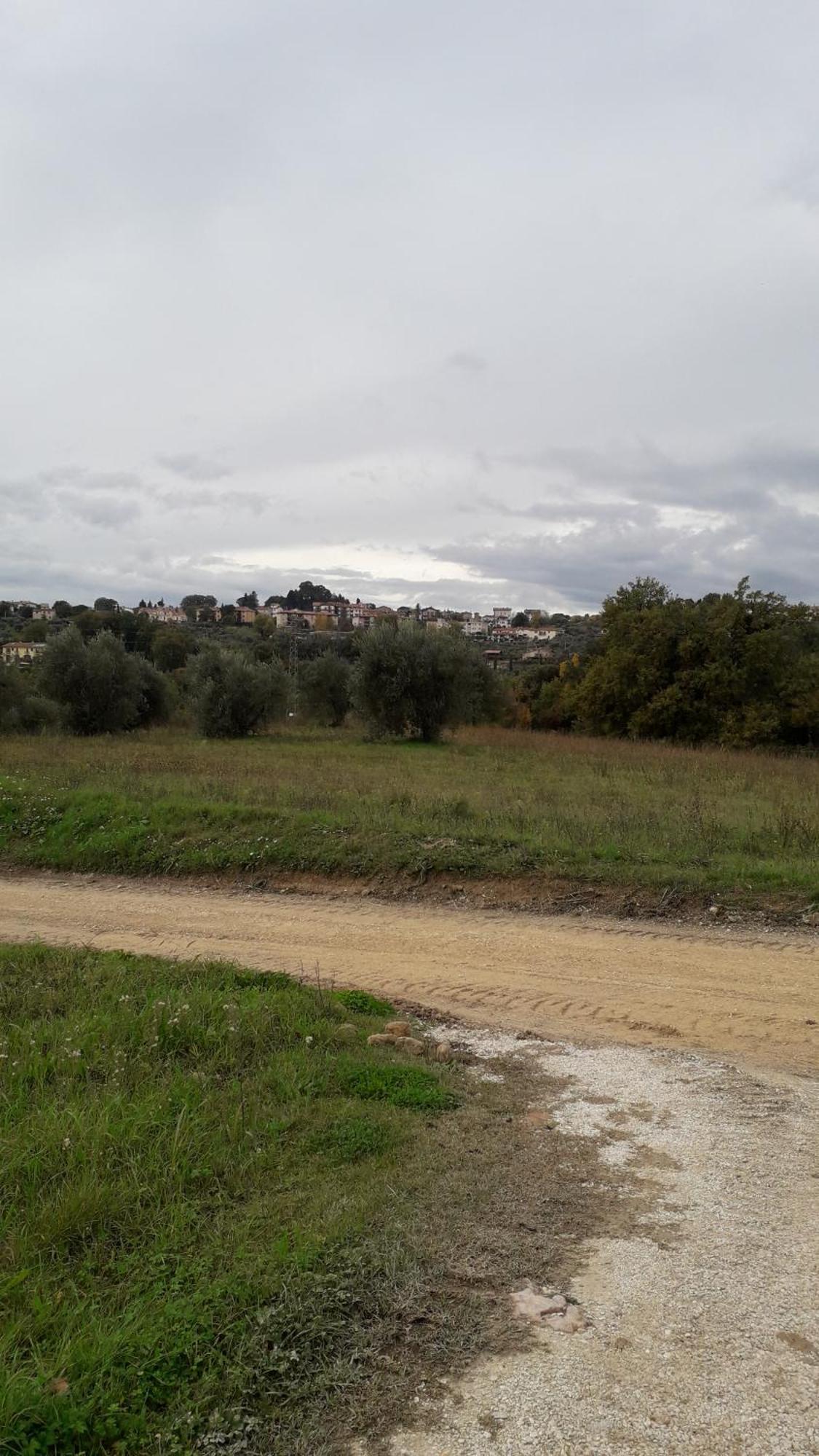 Agriturismo Marinella Амелиа Екстериор снимка